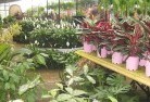 Bannabyplant-nursery-7.jpg; ?>